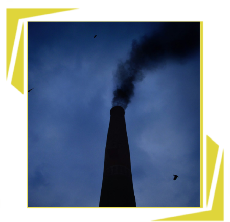 AJ Sweeps Chimney Solutions